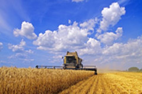 Alternative Agrartechnik: Alternative Agrartechnik: Der Dorfbaukasten
