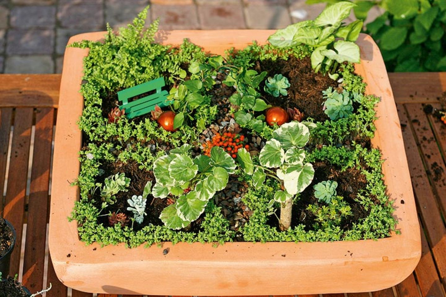 Urban Gardening: Eine grüne Oase für euer Zimmer