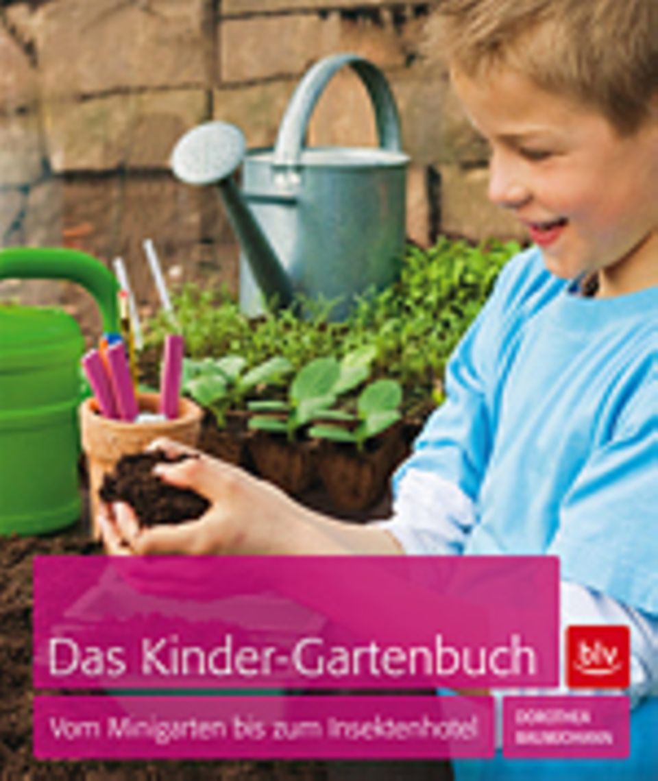 Urban Gardening: Eine grüne Oase für euer Zimmer Urban Gardening: Eine grüne Oase für euer Zimmer