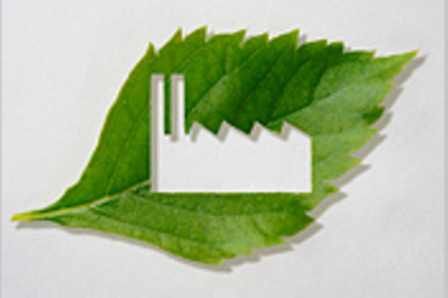 Wirtschaft: Sind Wachstum und Umweltschutz vereinbar?