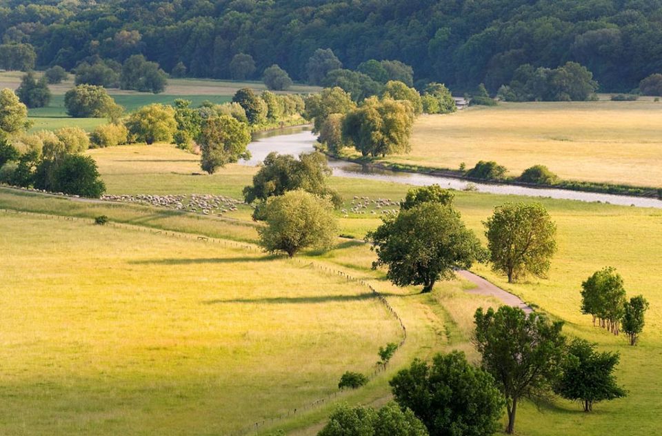 Der Nationalpark unteres Odertal in der Uckermark an der Grenze zu Polen bietet Ottern, Bibern und Störchen eine Heimat Der Nationalpark unteres Odertal in der Uckermark an der Grenze zu Polen bietet Ottern, Bibern und Störchen eine Heimat