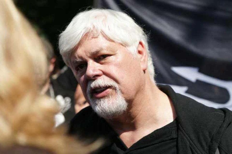 Umweltaktivisten: Sea-Shepherd-Chef Watson: "Es geht um eine Menge Geld"