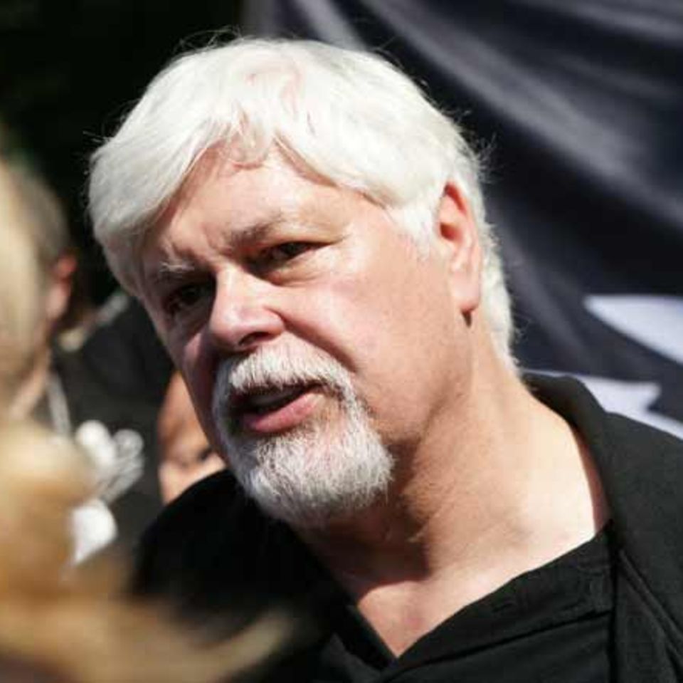 Umweltaktivisten: Sea-Shepherd-Chef Watson: "Es geht um eine Menge Geld"