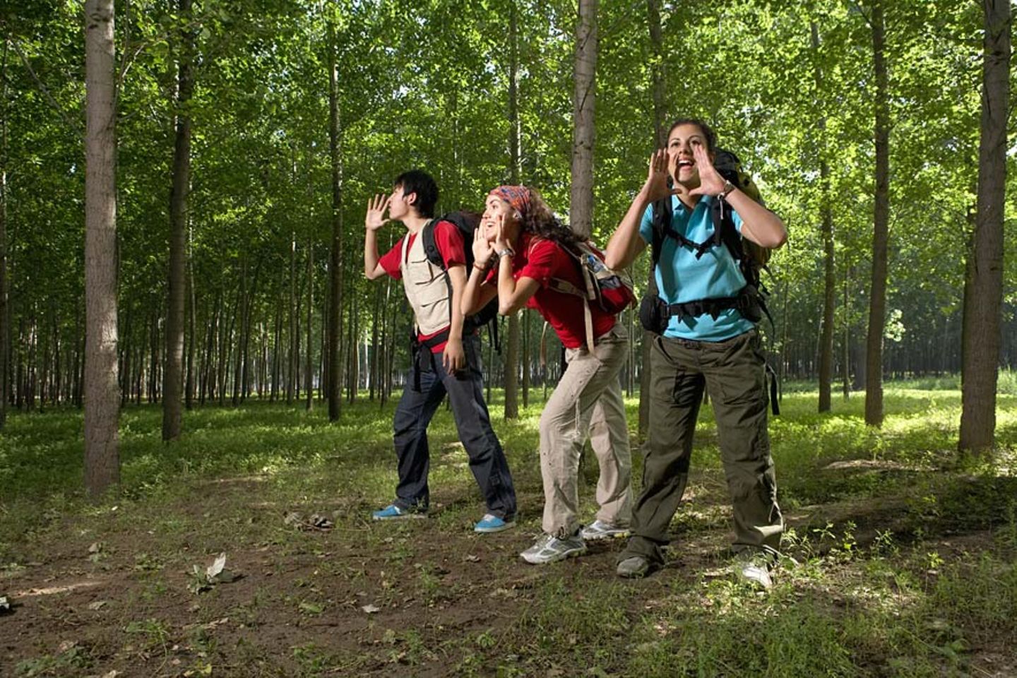 Redewendung: Wenn man in einen Wald hinein ruft, schallen die Worte zurück. So wie ihr also in den Wald hineinruft, schallt es auch wieder zu euch heraus