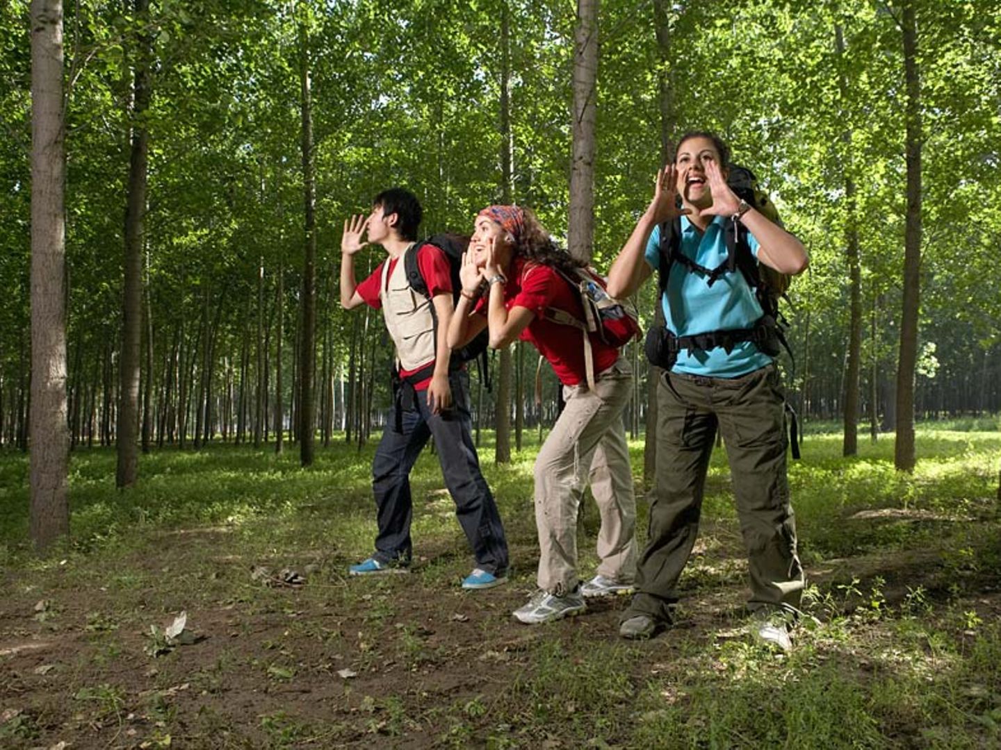 Ursprung und Verwendung des Sprichworts  Ursprung und Verwendung des Sprichworts