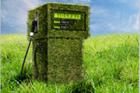 Die Bioenergie-Falle