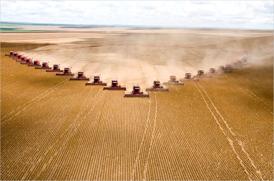 Lebensmittelproduktion: Sojaernte in Brasilien: Auf Millionen Hektar wird eiweißreiches Kraftfutter angebaut, um in Europa und China billig, schnell und in großen Mengen Fleisch produzieren zu können Lebensmittelproduktion: Sojaernte in Brasilien: Auf Millionen Hektar wird eiweißreiches Kraftfutter angebaut, um in Europa und China billig, schnell und in großen Mengen Fleisch produzieren zu können