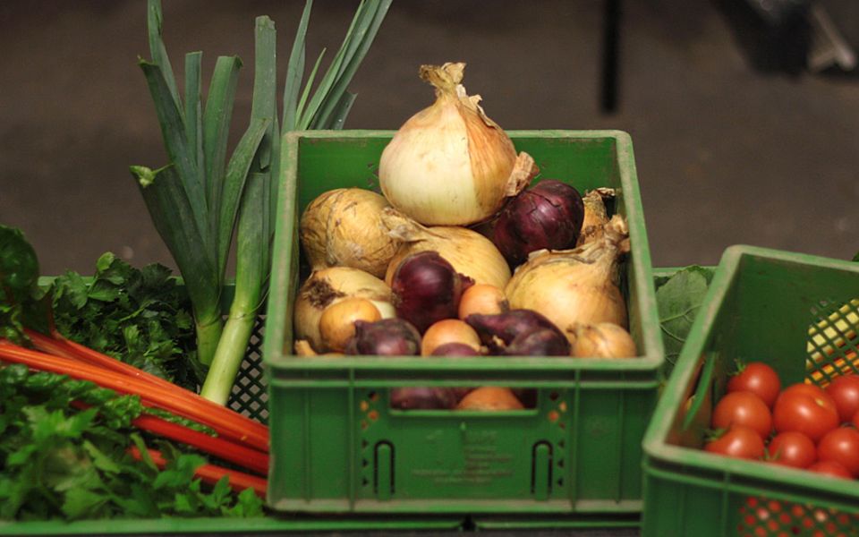 Lebensmittelkooperativen: Gemüse vom "eigenen" Acker: Wer mag, kann auch noch selbst miternten