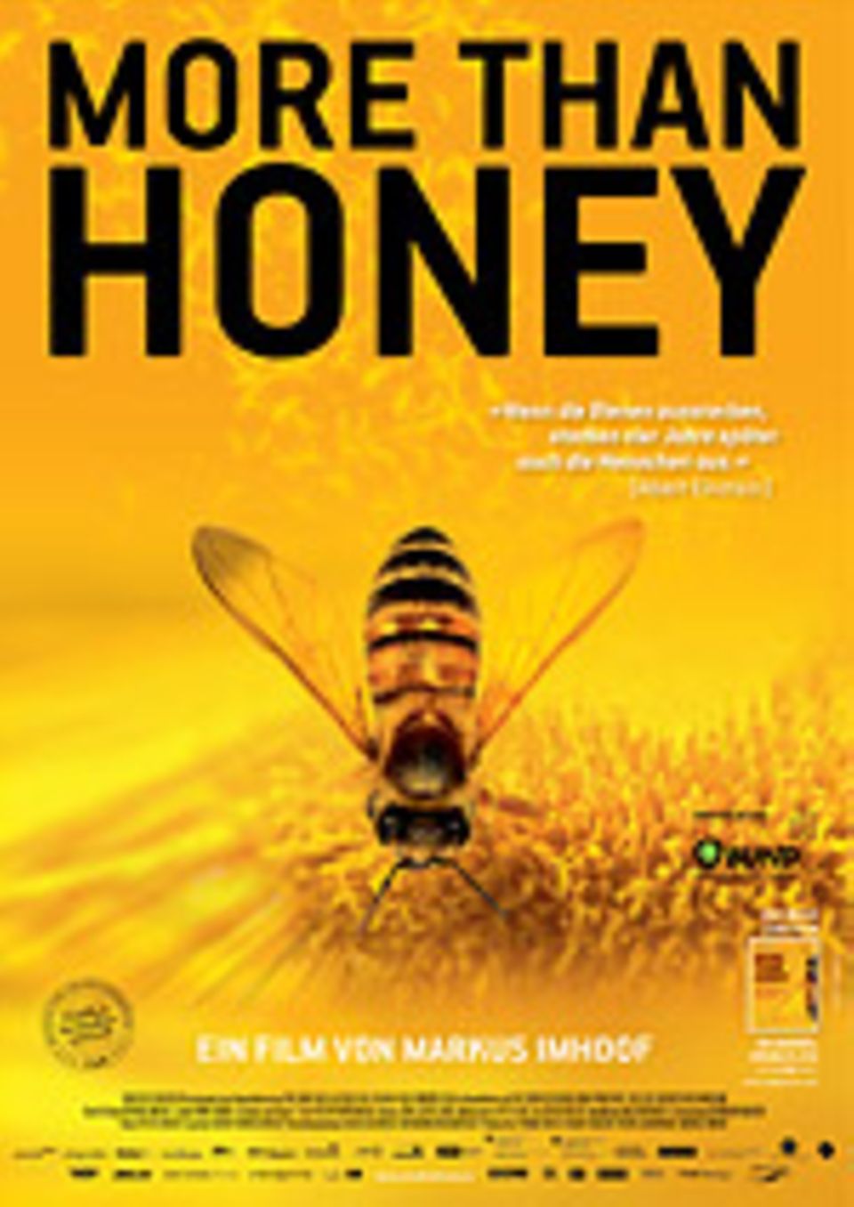 Umweltschutz: Filmstart von "More Than Honey" ist der 8. 11. Umweltschutz: Filmstart von "More Than Honey" ist der 8. 11.