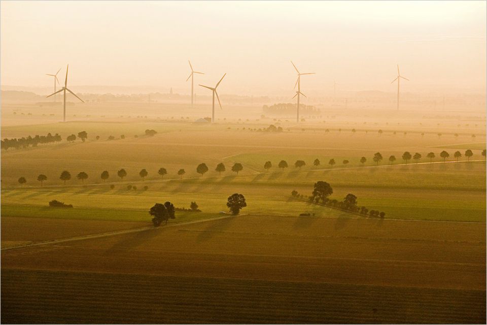 Umweltpolitik: "Immer, wenn wir neue Netze verlegen, um Strom für Phasen ohne Wind und Sonne zwischenzuspeichern, werden Anwohner rebellisch", meint Ortwin Renn
