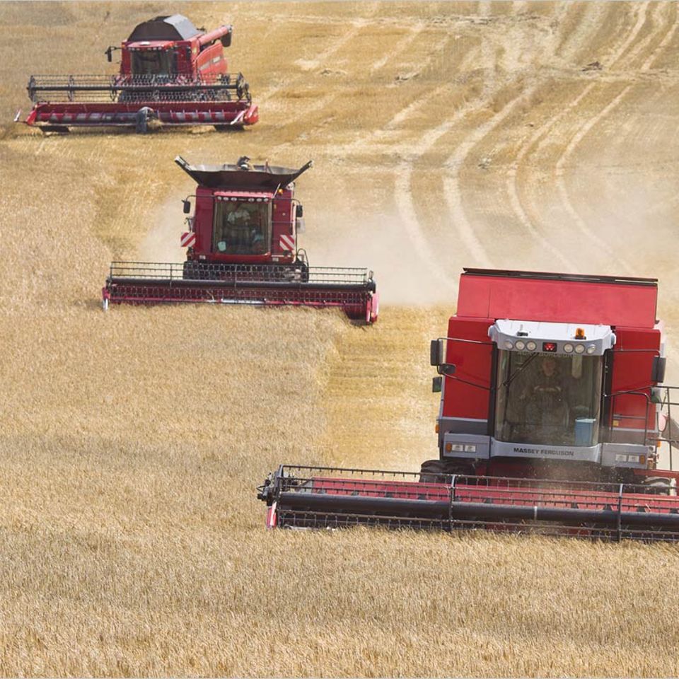 Interview: Agrarpolitik: "Landwirtschaft ist ein Thema geworden"