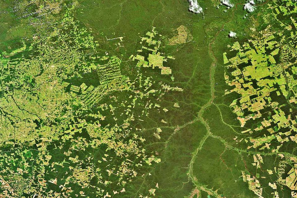 Satellitenaufklärung: "Unverzichtbar für den Umweltschutz"