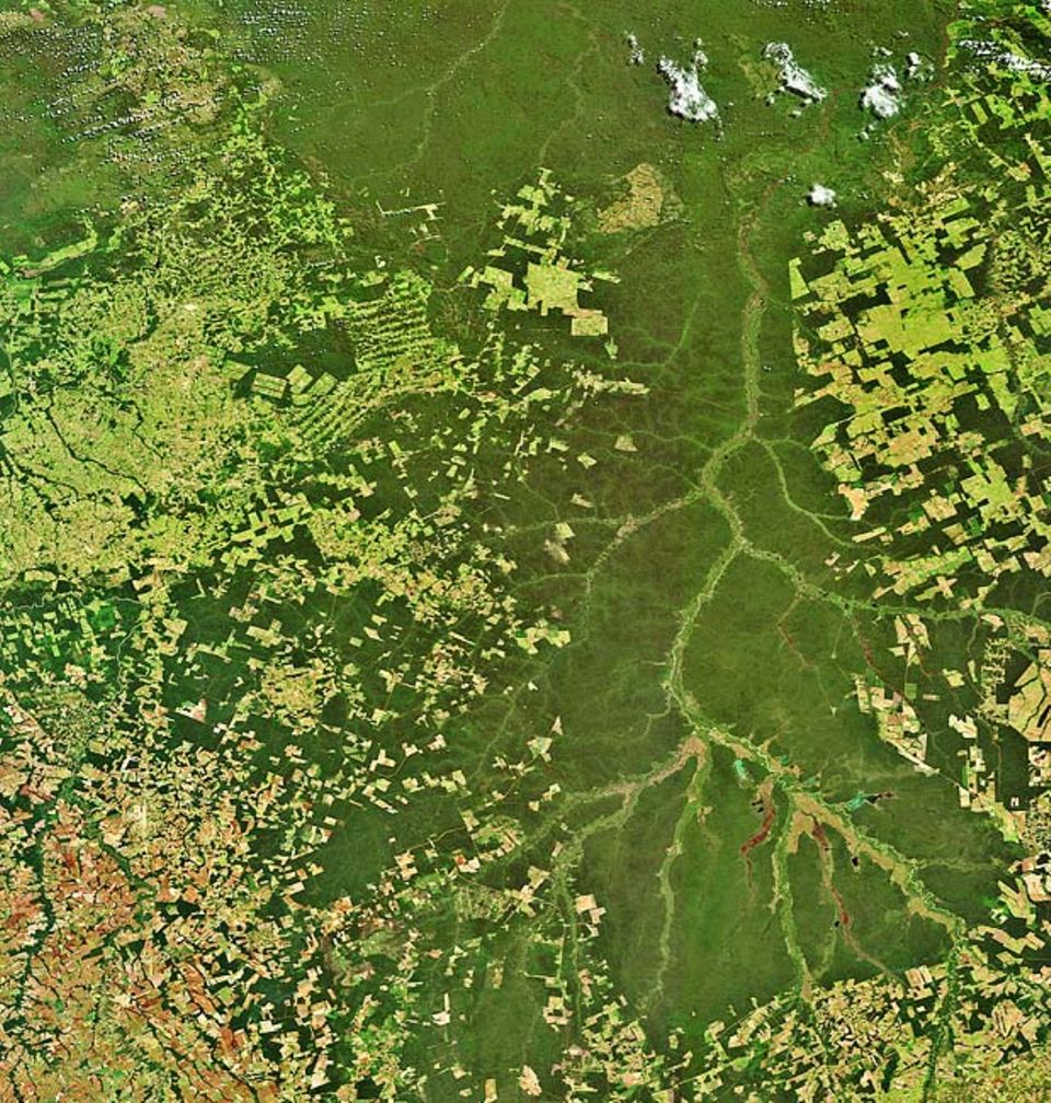 Satellitenaufklärung: Regenwald versus Siedlungsfläche: Eine Aufnahme des ESA-Satelliten Envisat vom Xingu-Fluss (Brasilien)