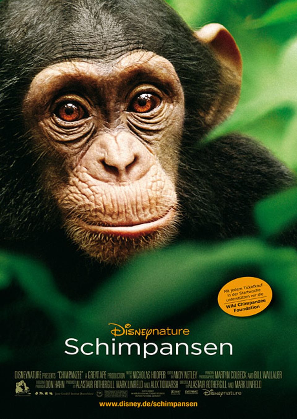 Schimpansen: Zum Kinotipp "Schimpansen": www.geolino.de/74758