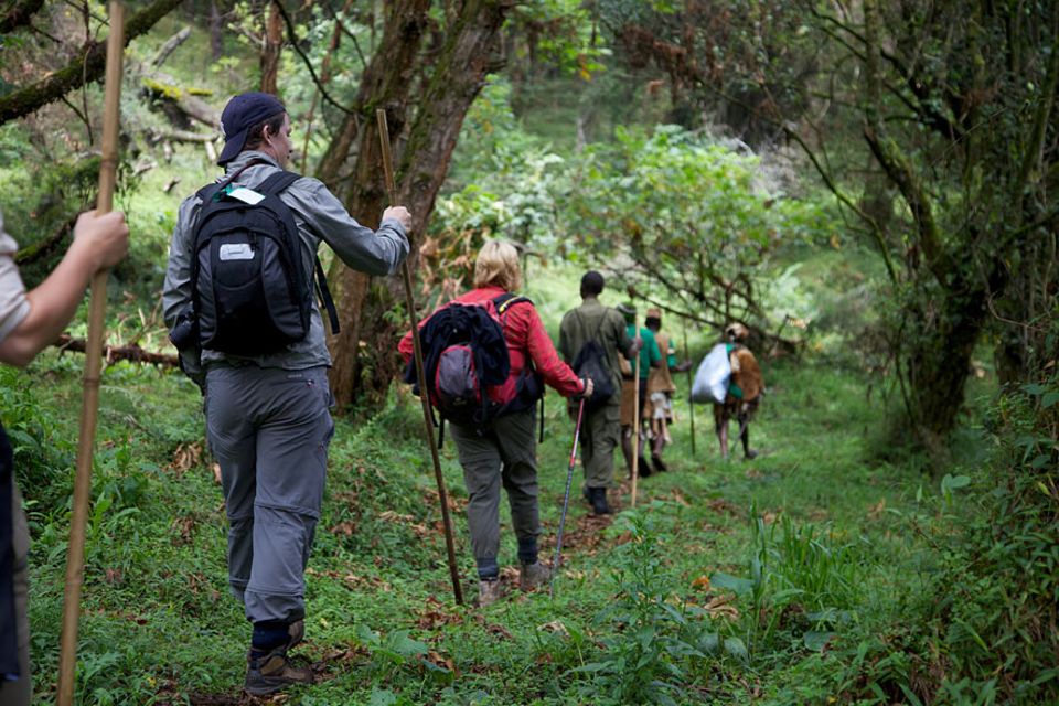 Uganda: Touristen können den Batwa-Trail an einem Tag erlaufen Uganda: Touristen können den Batwa-Trail an einem Tag erlaufen