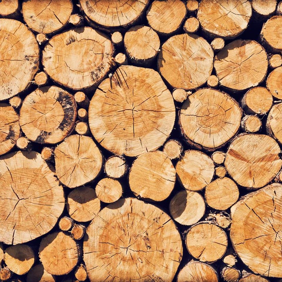 Windkraft: Wind aus Holz