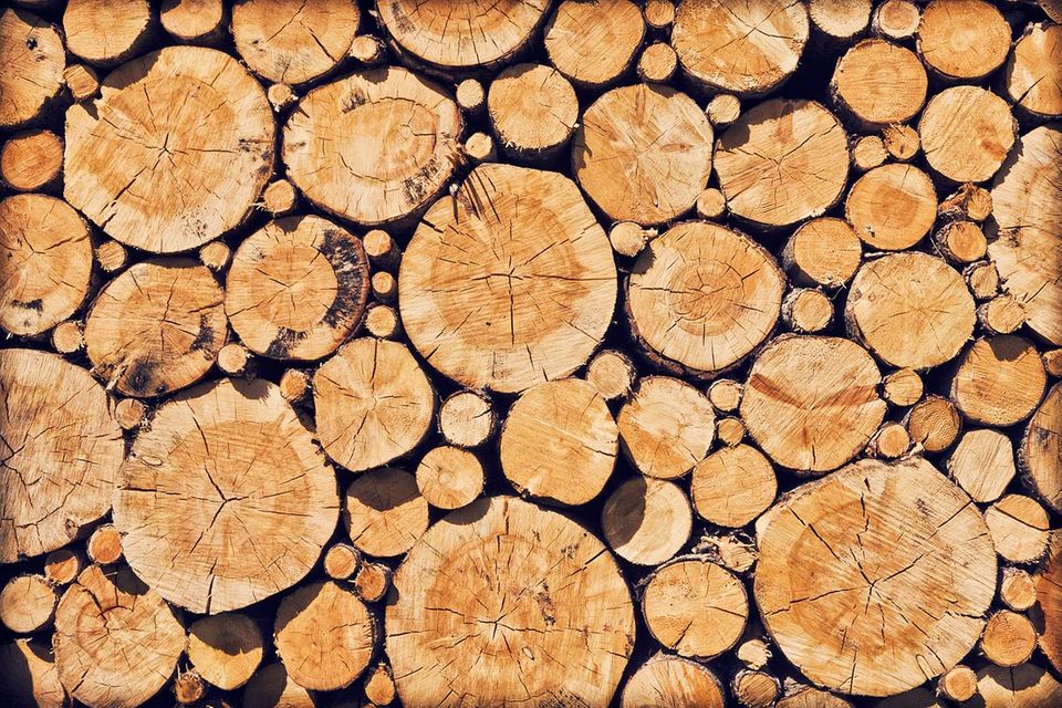 Windkraft: Wind aus Holz