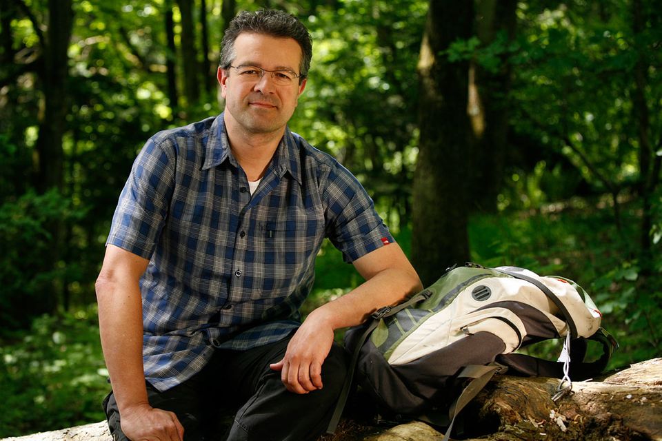 Interview: Sehnsuchtsort Wald