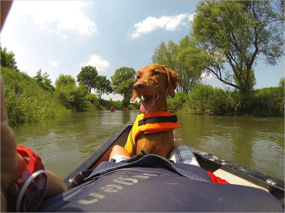 Reisen mit Hund: Hund und Herrchen in einem Boot, auf einer Kanutour von Dogtour ist das möglich