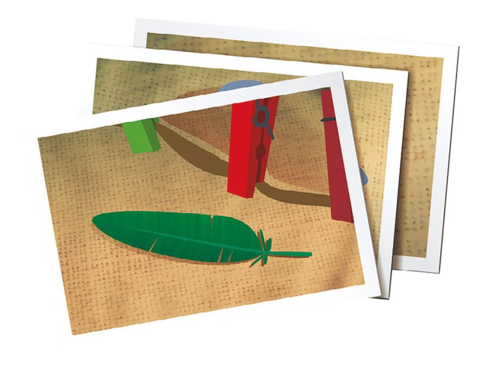 Gewinnspiel: Eine Quetzal-Feder