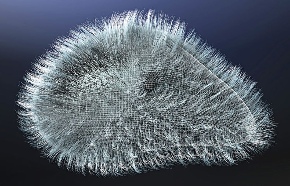 Evolution: FRÜHES SCHMECKEN: Schon vor zwei Milliarden Jahren können Einzeller (hier ein Pantoffeltierchen) Futterstoffe gezielt registrieren Evolution: FRÜHES SCHMECKEN: Schon vor zwei Milliarden Jahren können Einzeller (hier ein Pantoffeltierchen) Futterstoffe gezielt registrieren