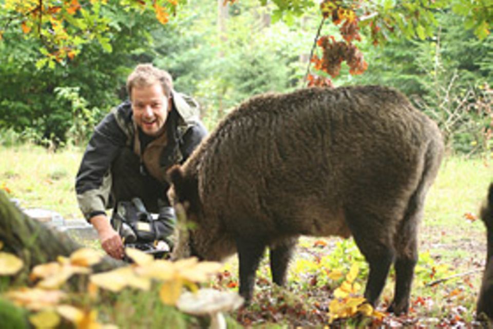 Beruf: Nicht immer hat Jan Haft soviel Glück. Für gute Aufnahmen muss der Naturfilmer oft wochenlang warten