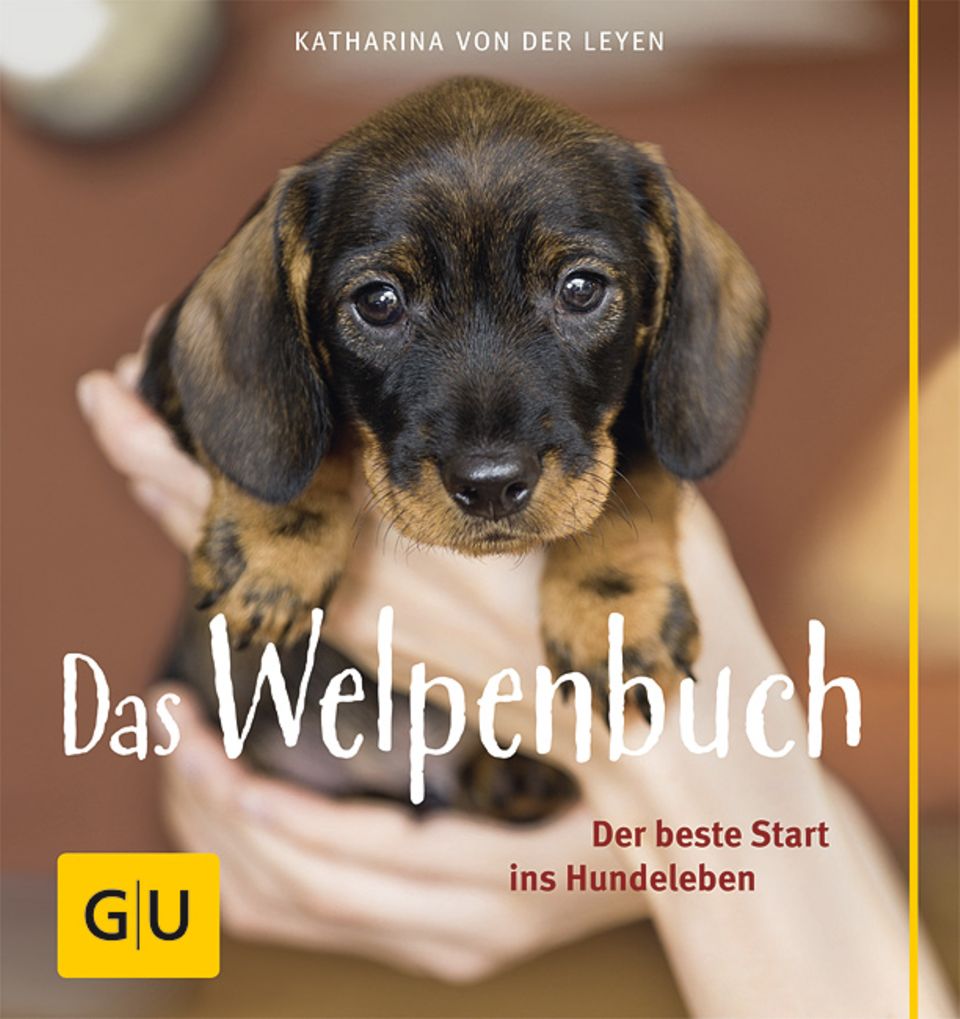 "Das Welpenbuch - Der beste Start ins Hundeleben" ist ab sofort im Gräfe und Unzer Verlag zu erwerben "Das Welpenbuch - Der beste Start ins Hundeleben" ist ab sofort im Gräfe und Unzer Verlag zu erwerben