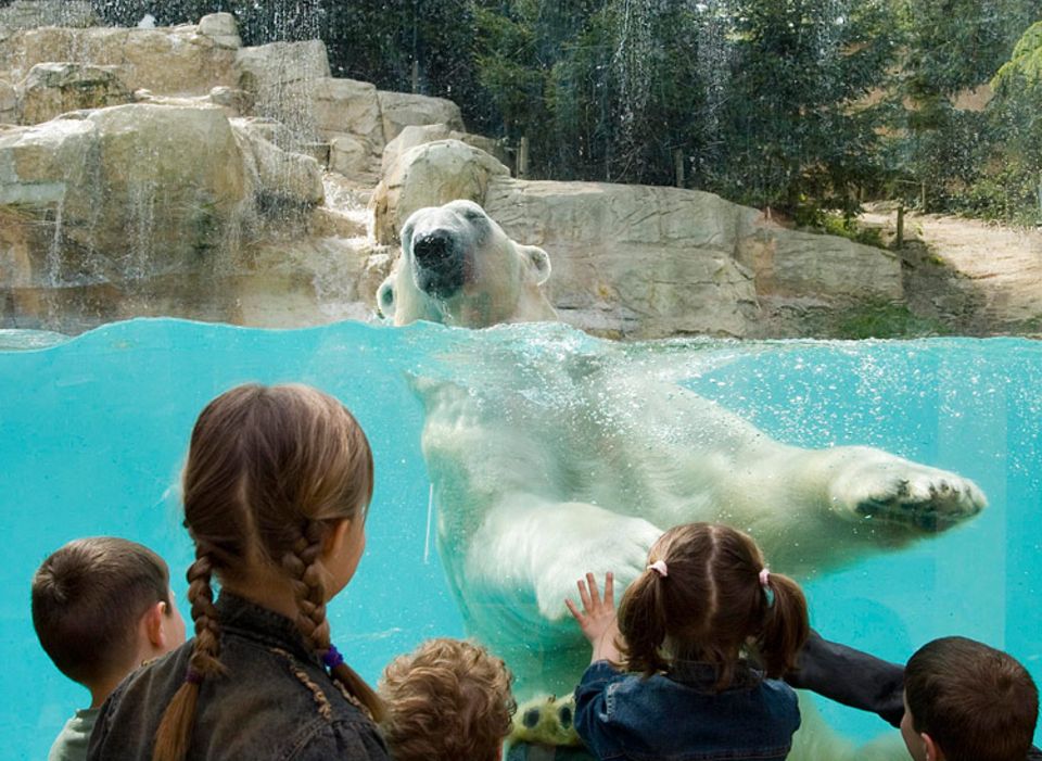 Diskussion: Sollen Tiere in Zoos gehalten werden? Sagt uns eure Meinung! Diskussion: Sollen Tiere in Zoos gehalten werden? Sagt uns eure Meinung!