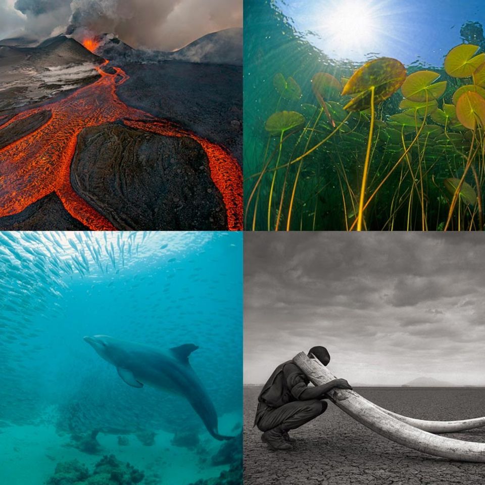 Hitliste: Die Top 10 aus der Rubrik Natur+Umwelt