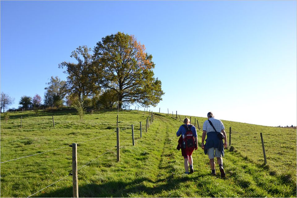 Naturcoaching: Der Weg ist das Ziel: Andreas Hösl beim Einzelcoaching