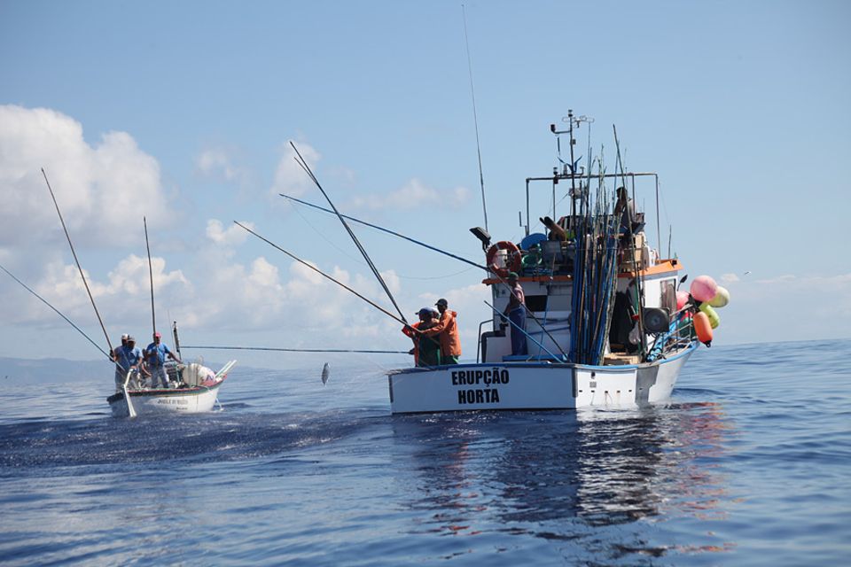 Fischerboote beim Thunfischfang auf den Azoren Fischerboote beim Thunfischfang auf den Azoren
