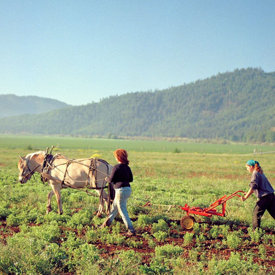 Landwirtschaft 2.0: Bio-Bäuerinnen: Umweltverträgliche Landbewirtschaftung in Kalifornien