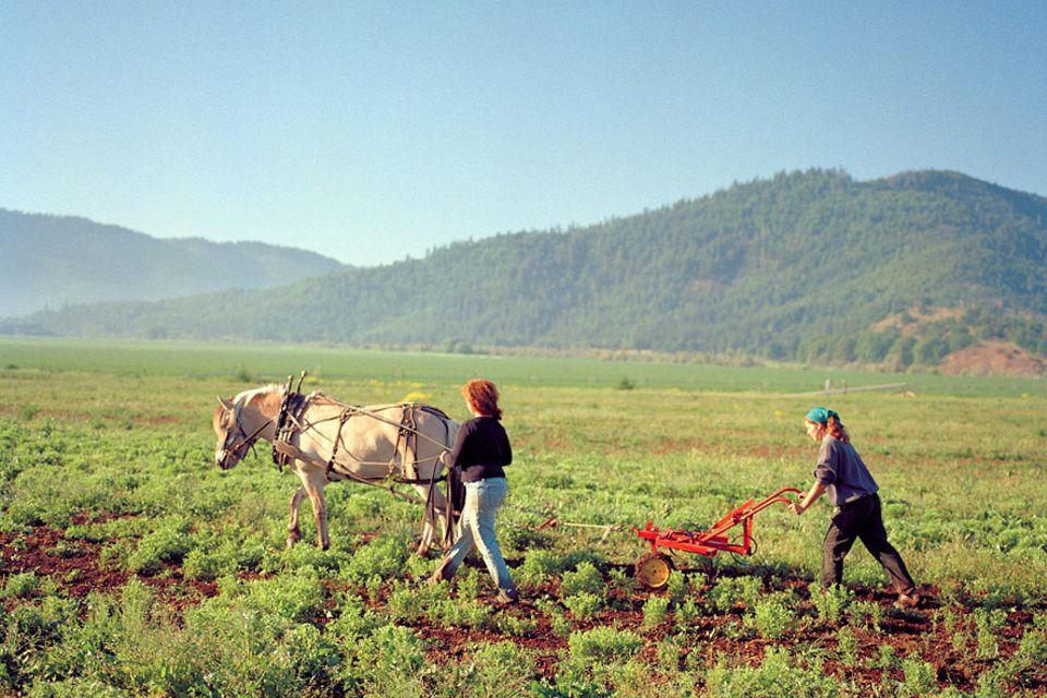 Landwirtschaft 2.0: Bio-Bäuerinnen: Umweltverträgliche Landbewirtschaftung in Kalifornien