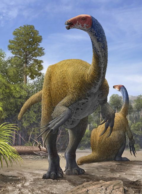  Tierlexikon  Therizinosaurus GEOLINO  