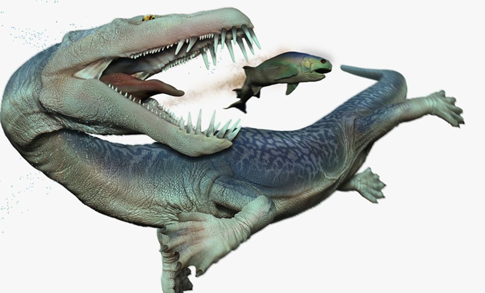 Tierlexikon: Die Krokodil-ähnlichen Nothosaurier konnten an Land und im Wasser leben Tierlexikon: Die Krokodil-ähnlichen Nothosaurier konnten an Land und im Wasser leben