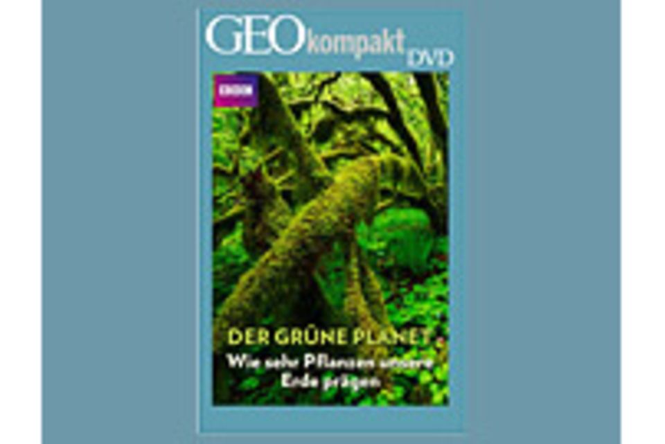 Pflanzen: GEOkompakt-DVD: Der grüne Planet