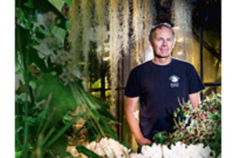 Pflanzen: Interview: Beherrschen Pflanzen die Welt?