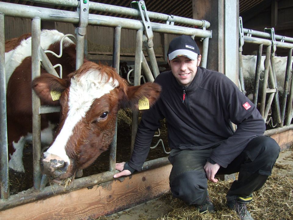 Zeitumstellung: Die Kühe von Bauer Achim Bossow müssen sich auch an die geänderte Uhrzeit gewöhnen