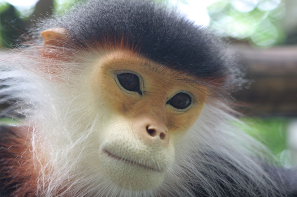 Protección de especies y de sus habitás Protección de especies y de sus habitás