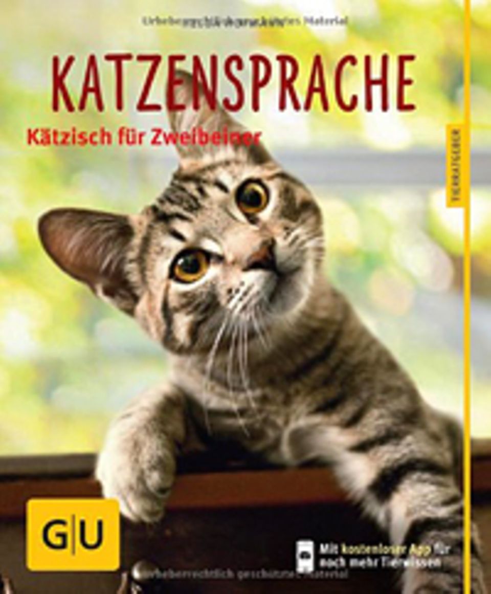 Katzensprache Verstehen - [GEOLINO]