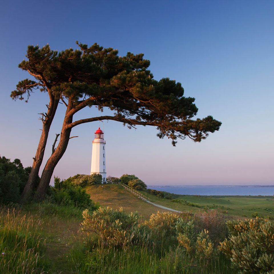 Reisetipps: Inselguide Hiddensee
