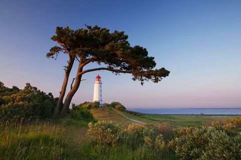 Reisetipps: Inselguide Hiddensee
