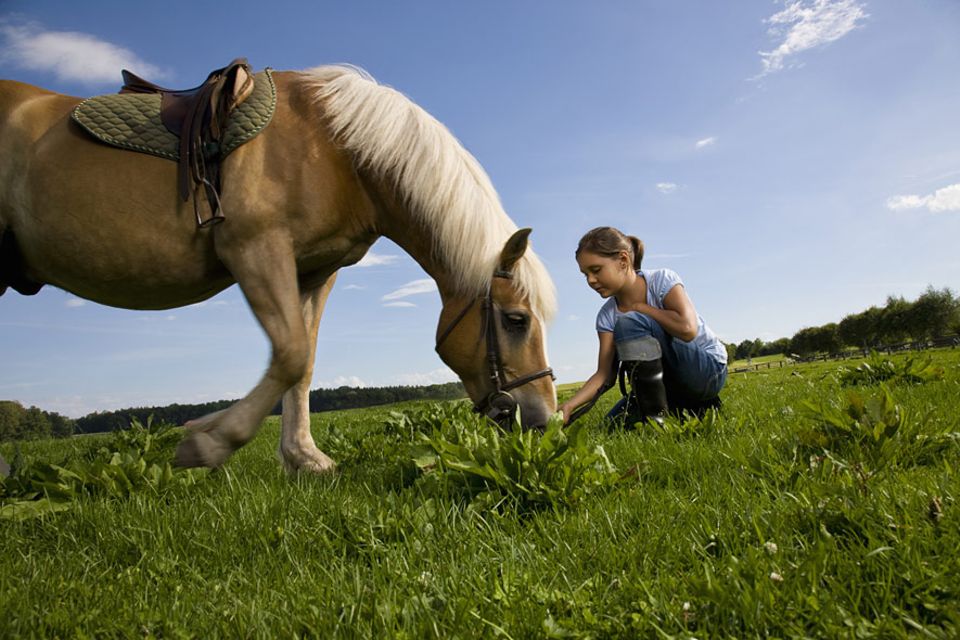 Reiseideen: Ich will ein Pony! Dieser Wunsch ist nicht leicht zu erfüllen, doch auf diesen Ferienreiterhöfen wird der große Traum vom eigenen Pferd zumindest für ein paar Wochen Wirklichkeit Reiseideen: Ich will ein Pony! Dieser Wunsch ist nicht leicht zu erfüllen, doch auf diesen Ferienreiterhöfen wird der große Traum vom eigenen Pferd zumindest für ein paar Wochen Wirklichkeit