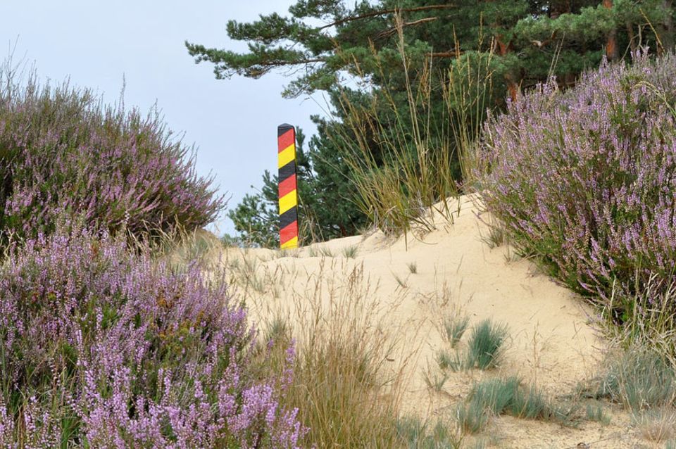 25 Jahre Grünes Band: Blühende Heide an der Wirler Spitze in der Altmark. Kaum vorstellbar, dass hier noch vor 25 Jahren Menschen ihr Leben für die Freiheit aufs Spiel setzten 25 Jahre Grünes Band: Blühende Heide an der Wirler Spitze in der Altmark. Kaum vorstellbar, dass hier noch vor 25 Jahren Menschen ihr Leben für die Freiheit aufs Spiel setzten