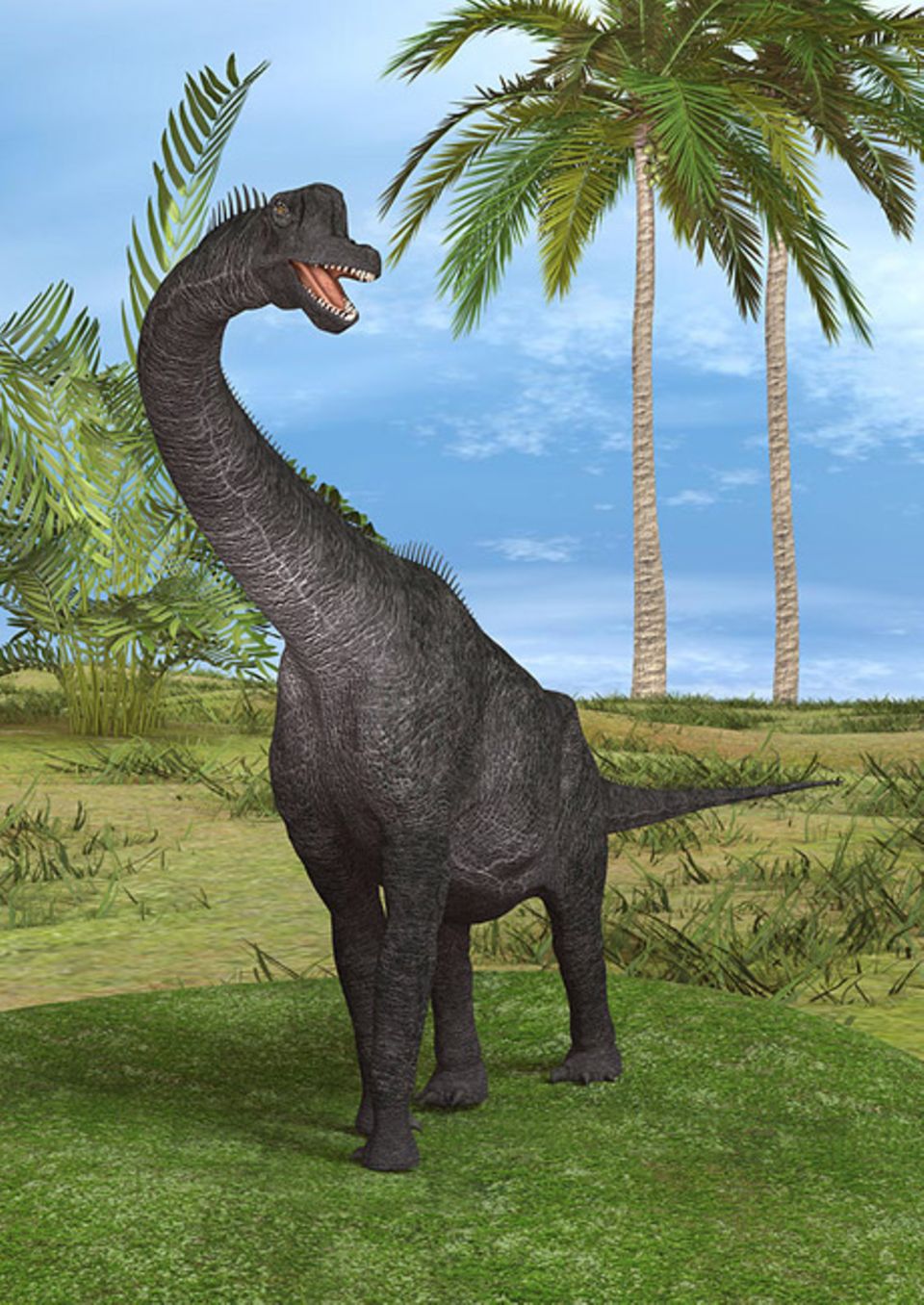 Brachiosaurus: Infos Im Tierlexikon - [GEOLINO]