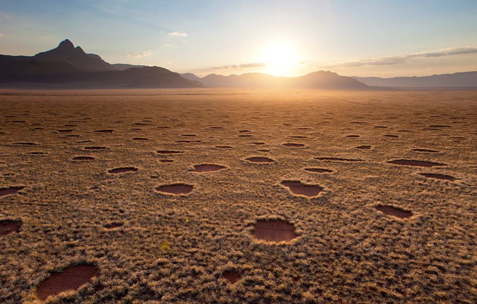 Naturkunde: Mysterium oder einfach Natur? Kreisrunde Grasflecken in der Namib
