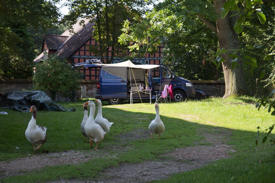 Stellplatzführer "Landvergnügen": Gänsemarsch! Auf dem Hof von Familie Bense im Wendland schaut das Federvieh auch mal beim Bulli vorbei Stellplatzführer "Landvergnügen": Gänsemarsch! Auf dem Hof von Familie Bense im Wendland schaut das Federvieh auch mal beim Bulli vorbei
