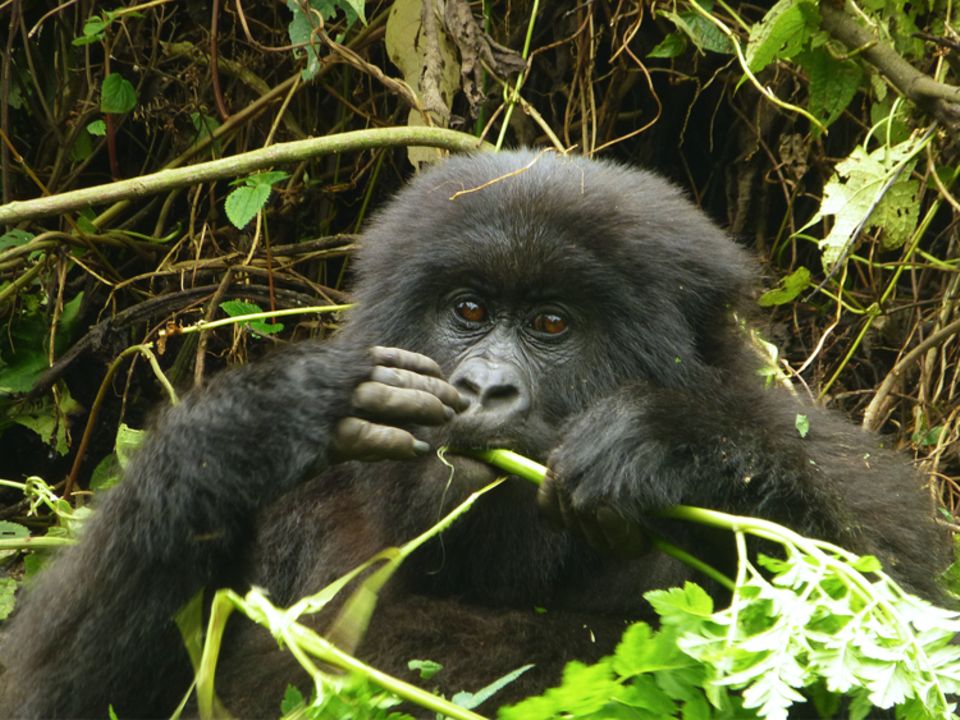 Eindrücke und Bilder aus dem Projektgebiet