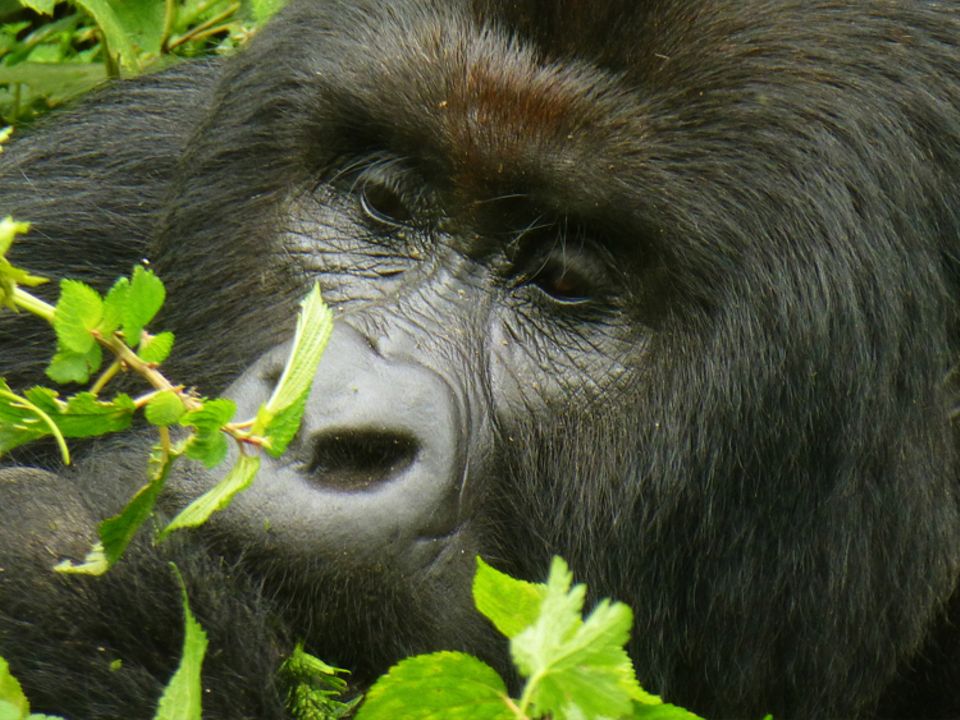 Eindrücke und Bilder aus dem Projektgebiet