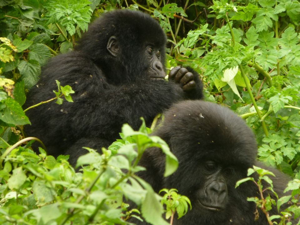Eindrücke und Bilder aus dem Projektgebiet